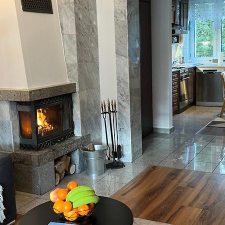 Sweet Home Cieplice Mountain View Apartament By The Main Park And Thermal Pools イェレニャ・グーラ エクステリア 写真