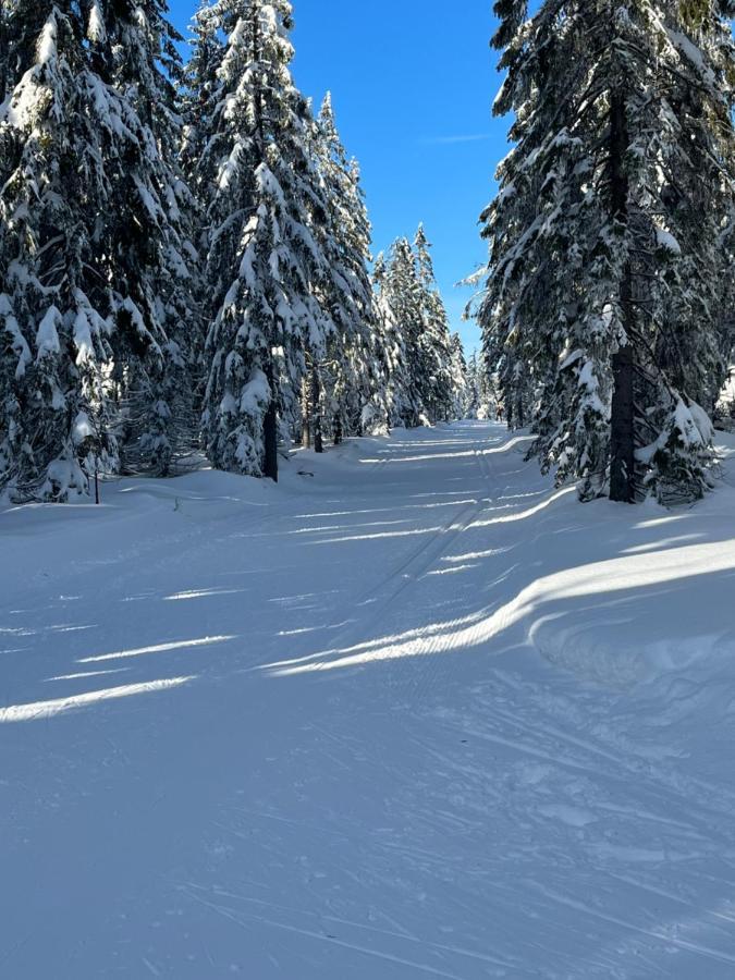Sweet Home Cieplice Mountain View Apartament By The Main Park And Thermal Pools イェレニャ・グーラ エクステリア 写真