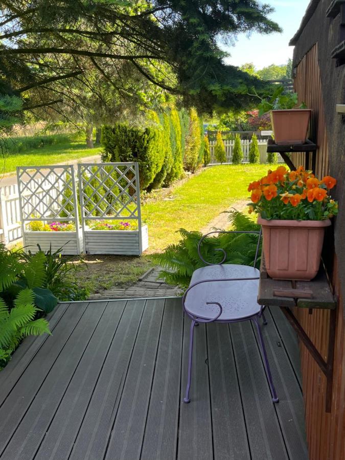 Sweet Home Cieplice Mountain View Apartament By The Main Park And Thermal Pools イェレニャ・グーラ エクステリア 写真