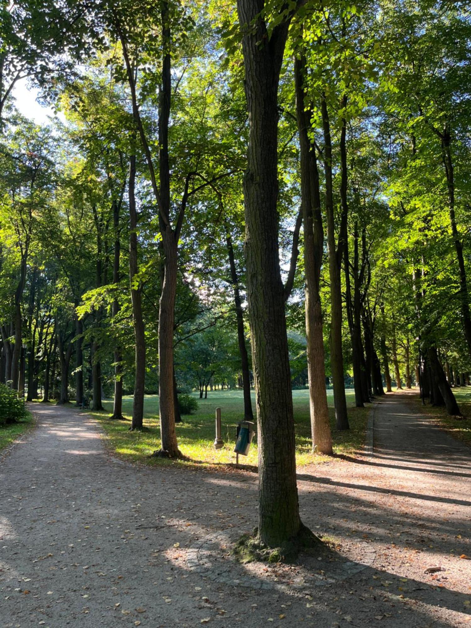 Sweet Home Cieplice Mountain View Apartament By The Main Park And Thermal Pools イェレニャ・グーラ エクステリア 写真