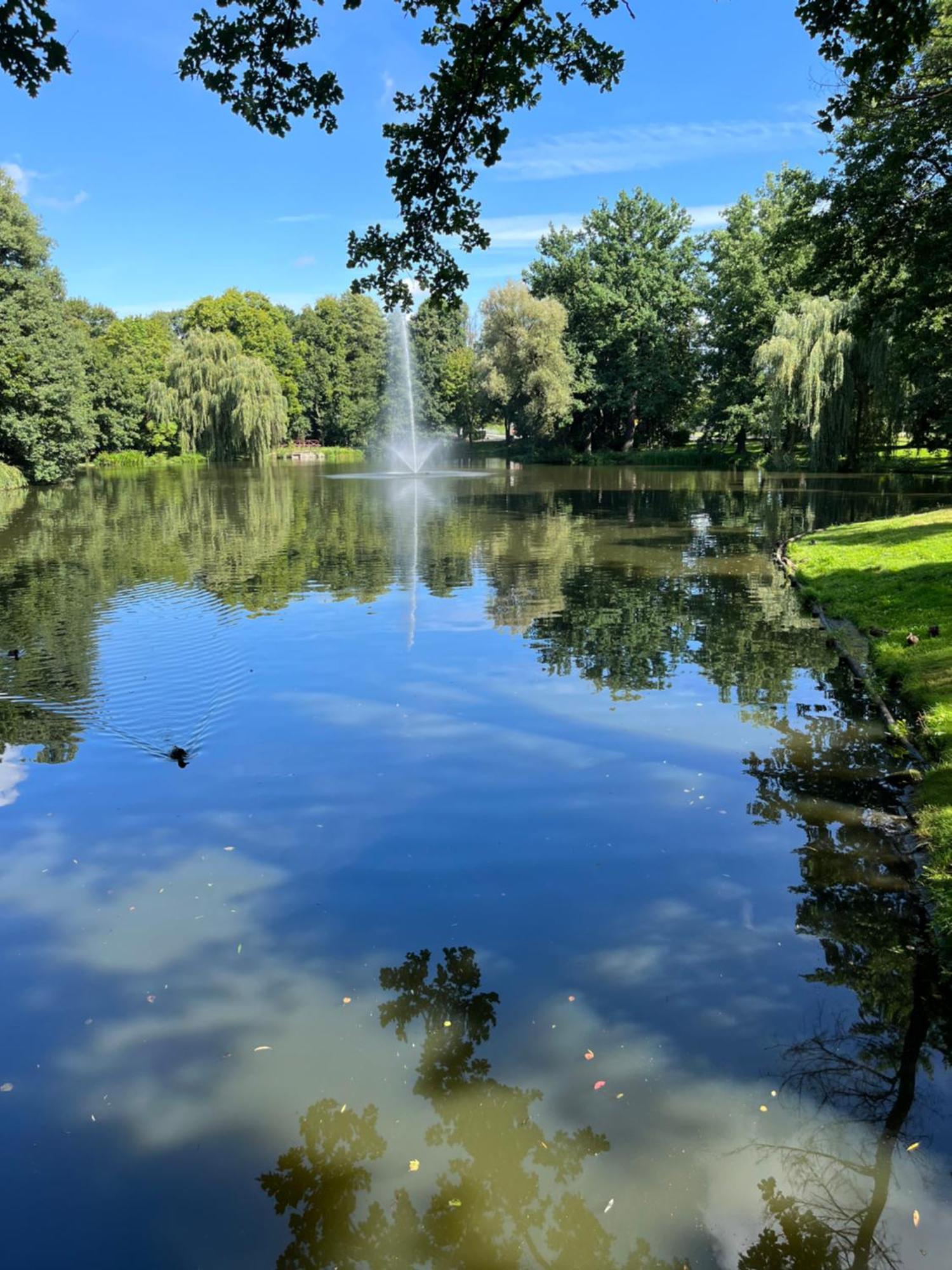 Sweet Home Cieplice Mountain View Apartament By The Main Park And Thermal Pools イェレニャ・グーラ エクステリア 写真
